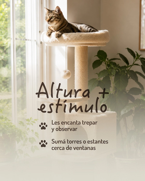 Con pequeños ajustes podés transformar tu casa en un lugar más cómodo, estimulante y a medida de tu michi. Guardá este post para armar su espacio ideal - imagen 2